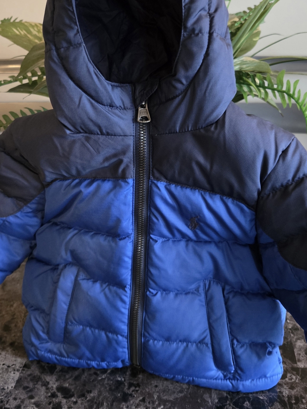 Ralph Lauren Navy and Royal Blue Hooded Puffer Jacket for Kids